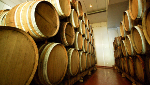 District Court of Missouri Limits Whining About the Scope of Waiver of Subrogation Clauses in Wine Storage Agreements Old wine barrels in a wine cellar