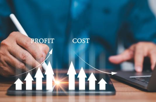 Profit Cost Trend Chart