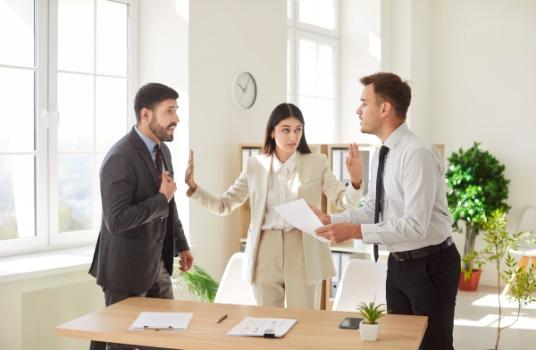 Dispute Woman Lawyer Mediating