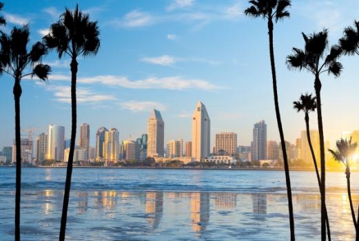 San Diego Skyline Palm Trees