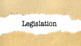 Legislation word on ripped paper