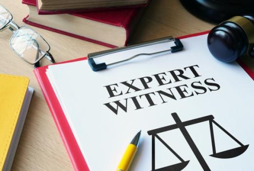 Expert Witness