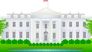 White house legislature building illustration