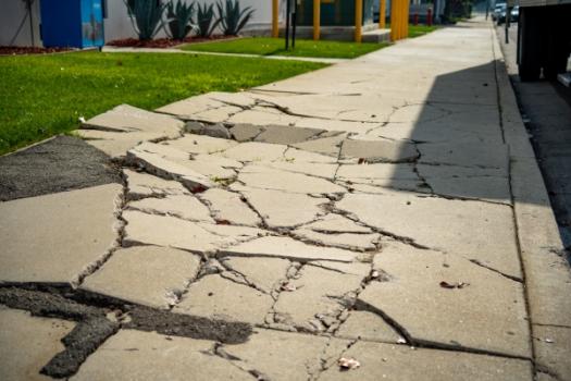 Cracked sidewalk