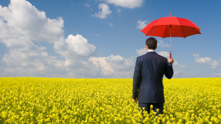Businessman holding red umbrella in yellow meadow