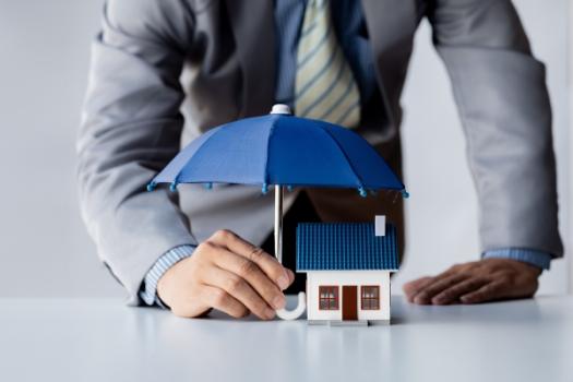 Person holding umbrella over model house