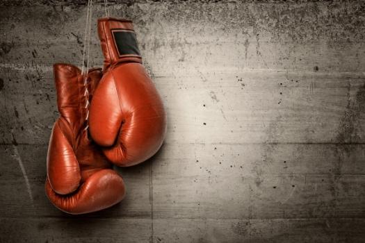 Boxing gloves
