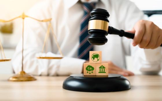 Climate Law Gavel