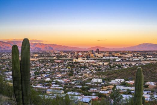 Ninth Circuit Clarifies Viability of Takings Claims Under Arizona’s Unclaimed Property Act Arizona aerial view of community