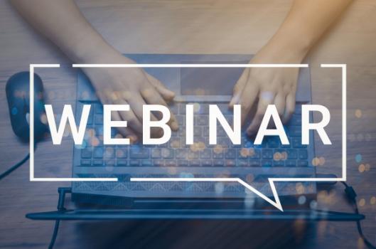 ABA’s GenAi in Construction Disputes: Document Analysis and Synthesis Webinar Webinar