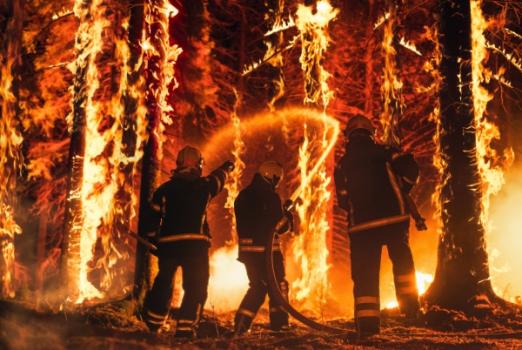 Firefighters fighting wildfire